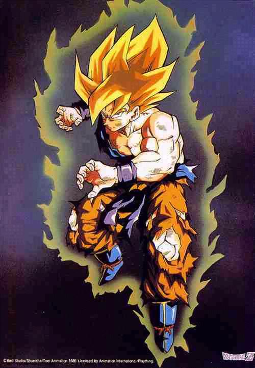 goku1.jpg